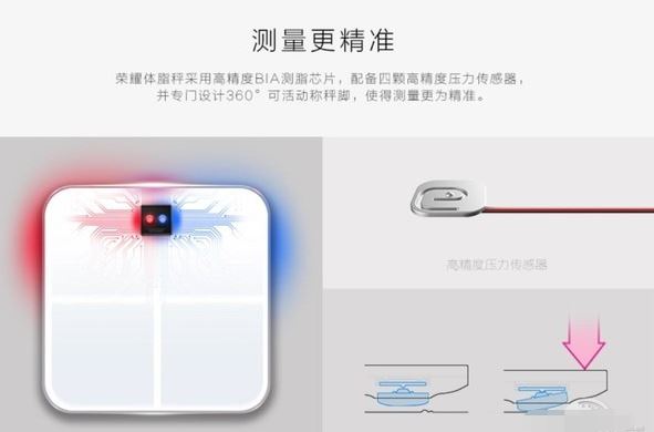 荣耀体脂秤和小米体脂秤哪个好？荣耀/小米体脂秤区别对比评测 