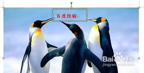 教你用Word给图片加水印 无需任何图片处理软件