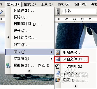 教你用Word给图片加水印 无需任何图片处理软件