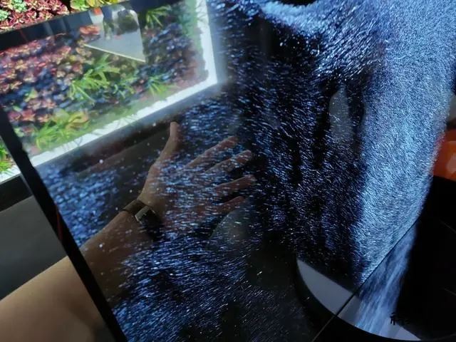 小米大师OLED透明电视怎么样?小米大师OLED透明电视体验分享