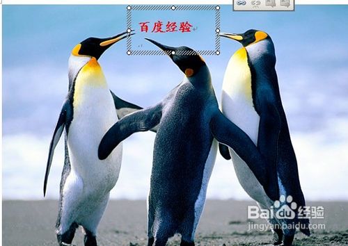 教你用Word给图片加水印 无需任何图片处理软件