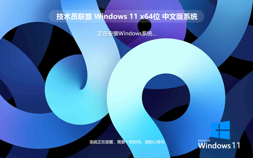 Windows11专业版 技术员联盟 纯净PE安装 ghost系统 ISO镜像 X64位下载