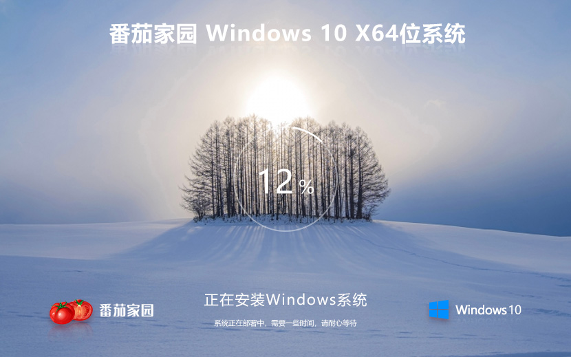 windows10企业版下载 番茄花园64位特别版下载 ghost镜像 自动激活