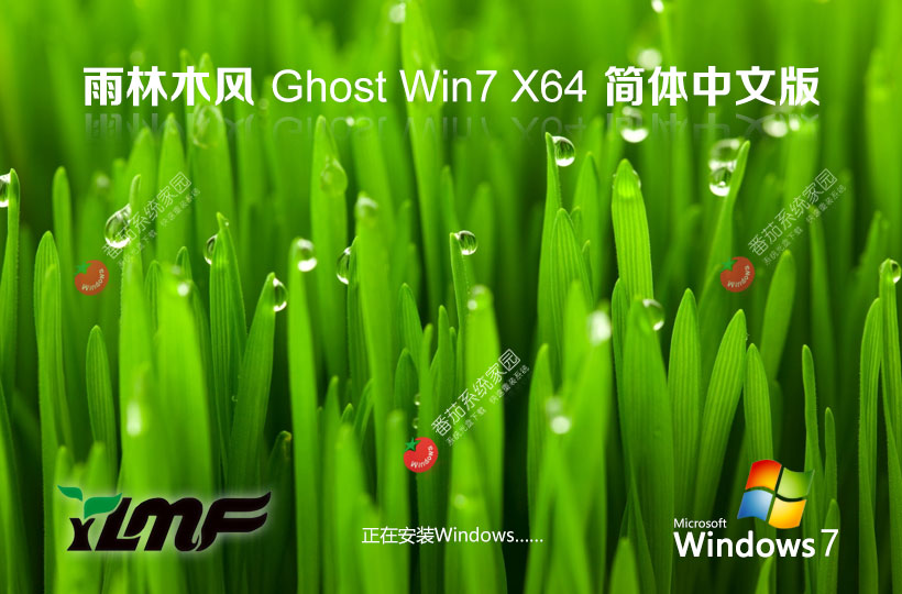 windows7企业版最新下载 雨林木风x64位简体中文 GHOST镜像 v2023