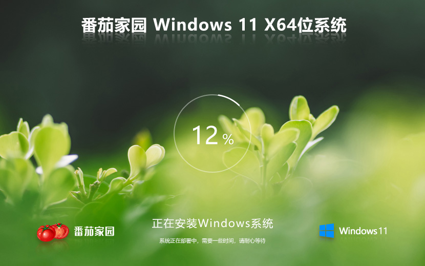 Windows11最新企业版下载 番茄花园 ghost镜像 永久激活 X64位下载