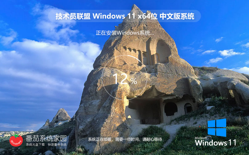 Windows11官方专业版 技术员联盟x64位下载 Ghost系统 ISO镜像下载