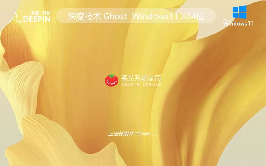 Windows11游戏专用版下载 深度技术x64位 笔记本专用 GHOST镜像下载