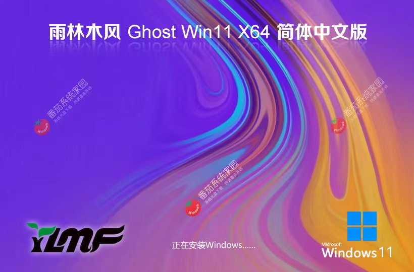 Windows11企业版下载 雨林木风完美兼容版 x64位下载 GHOST镜像