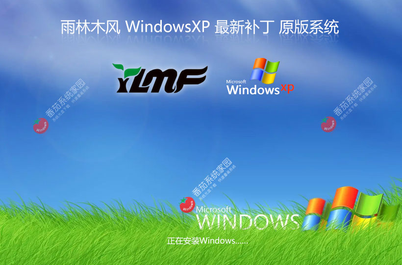 WinXP游戏专用系统下载 雨林木风x86高效版 ghost系统下载 联想电脑专用