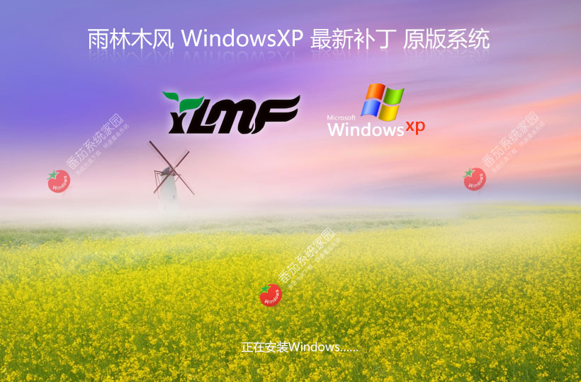 WinXP家庭版下载 雨林木风x86纪念版 ghost镜像下载 免激活使用
