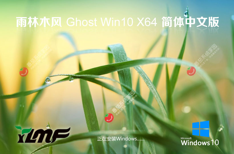 Windows10家庭版下载 雨林木风x64位系统 自动激活密钥 GHOST镜像下载