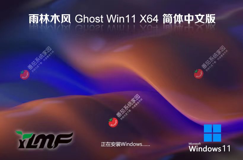 雨林木风windows11企业版 最新64位系统下载 永久免费 ghost镜像下载