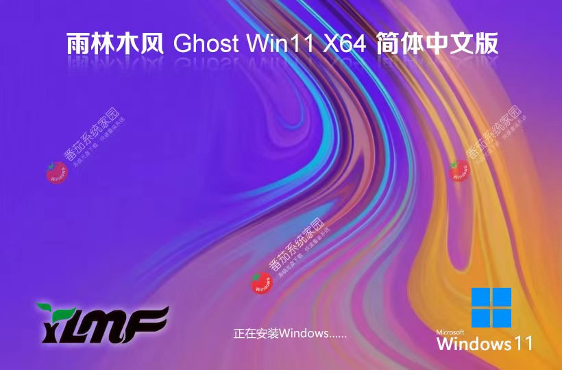 Windows11旗舰版下载 雨林木风x64预装版 ghost镜像下载 惠普电脑专用