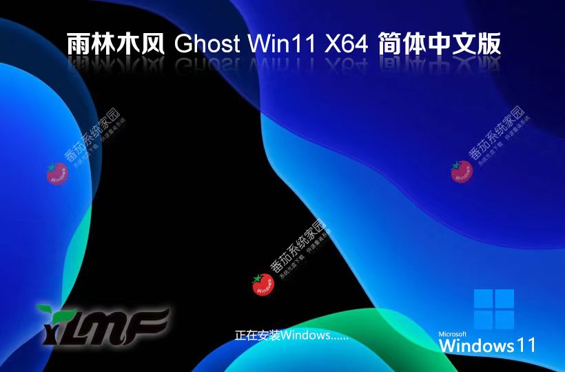 Windows11尝鲜装机版下载 雨林木风x64位娱乐版 ghost系统下载 联想电脑专用