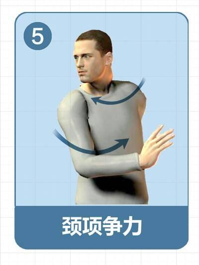 颈项劲力图解