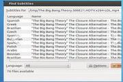 SMPlayer portable x64 16.6.0