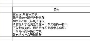 excel单元格内换行怎么换行