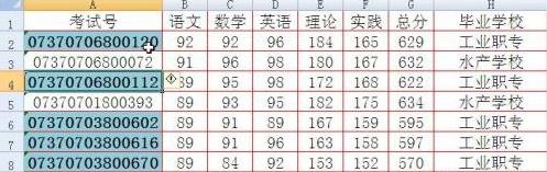 Excel条件格式的应用醒目标注条件单元格