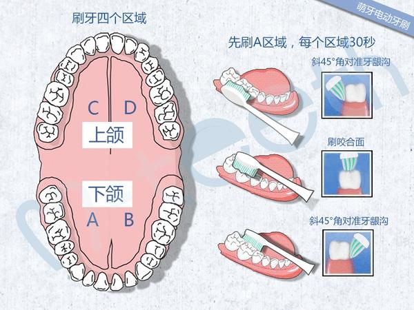 电动牙刷如何使用？电动牙刷的正确使用方法图解
