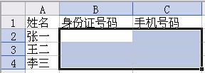 教你如何设置WPS表格文字格式的正确输入法