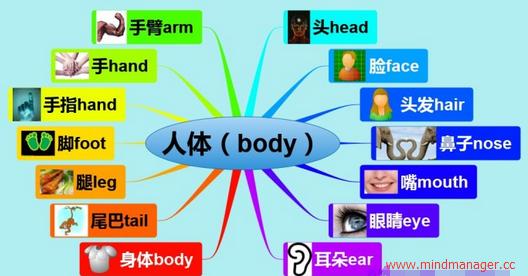 如何用思维导图来背单词