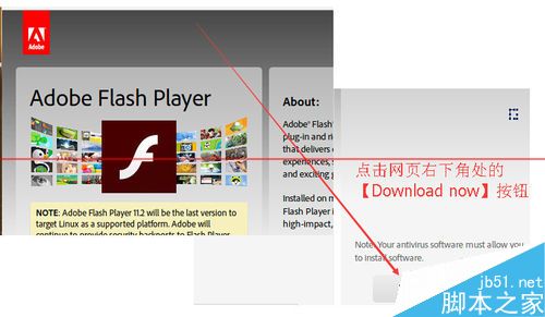 ubuntu14.10怎么下载并安装adobe flash？