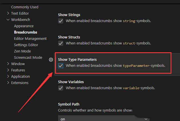 VSCode类型参数怎么显示? VSCode显示类型参数的技巧