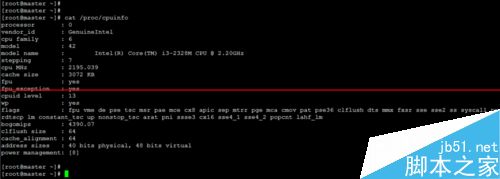 Linux查看系统信息的常用命令
