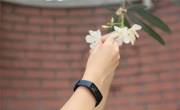 荣耀手环3有几种颜色? 华为手环b3高颜值图赏