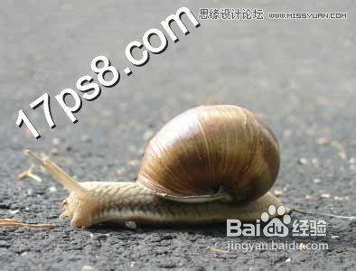 Ps设计可爱风格的蜗牛城堡教程