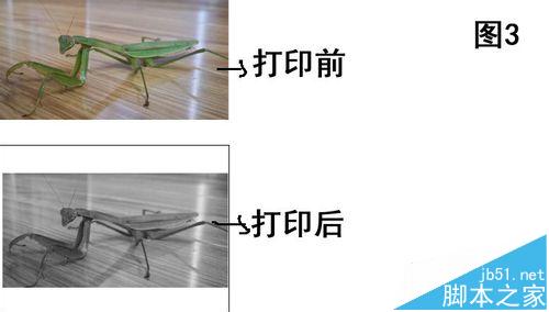 打印机打印图片不完整总是缺一部分该怎么办?