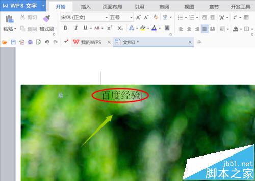 wps文字怎么打印背景? wps文字背景打印的教程