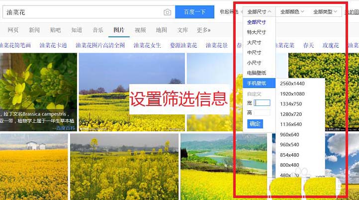 edge浏览器怎么找图并获取复制链接?