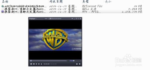 qq旋风下到99.9不动了怎么解决?