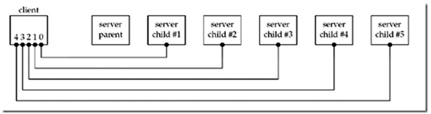Linux网络编程wait()和waitpid()的讲解