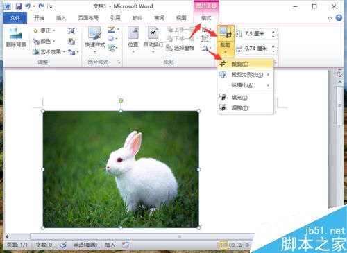 Word2010怎么提取局部的图像?