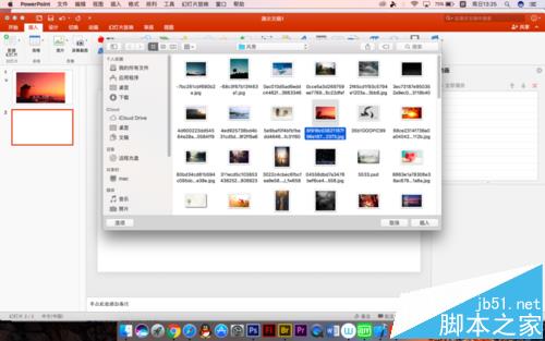 PPT怎么制作给图片添加字幕的效果?