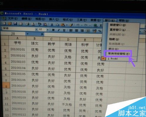 Excel表格如何冻结窗口?冻结窗口的类型和方法