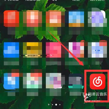 网易云抱抱功能在哪? 网易云音乐触发抱抱的玩法