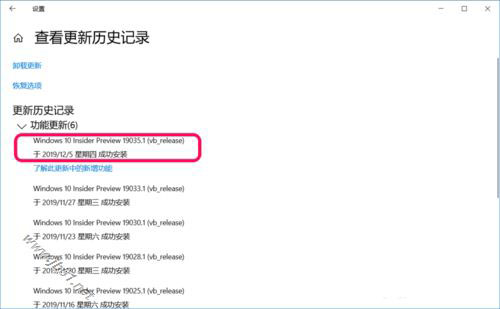 Win10 20H1快速预览版19037.1怎么手动更新升级?