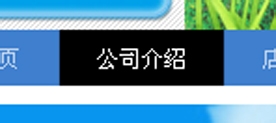 淘宝店铺导航装修怎么编辑？淘宝新旺铺导航CSS代码使用修改技巧