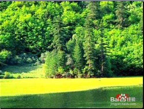 ppt如何循环播放?PPT图片永不停止的循环播放方法