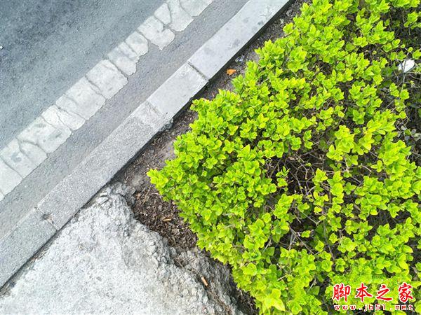 9.7寸iPad Pro怎么样？9.7英寸iPad Pro全方位详细评测图解