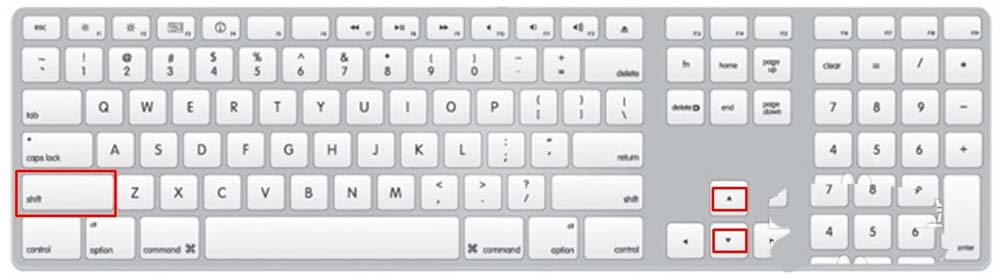 PowerPoint怎么调整图片尺寸 三种方法快速调节图片大小