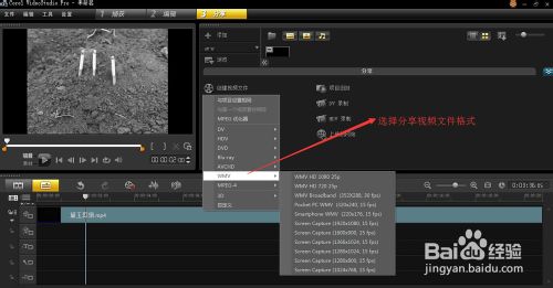 会声会影制作反转视频（倒放视频）的技巧