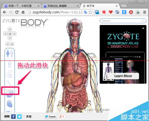 人体浏览器是什么？谷歌人体浏览器的使用方法