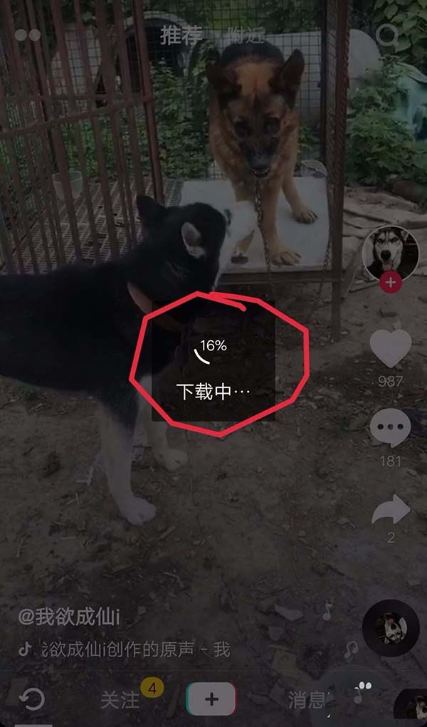 抖音小视频怎么设置为手机动态壁纸?