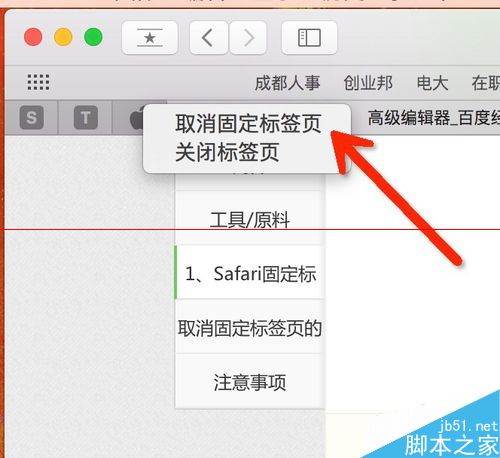 Mac怎么使用Safari一键静音和网页标签固定功能？