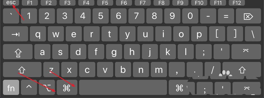 苹果MacBook预览大型文件卡死怎么解决?